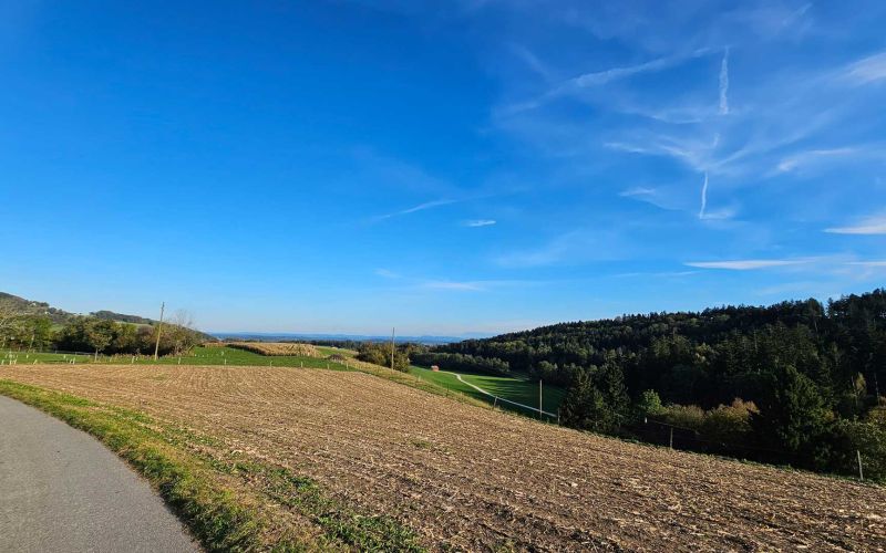 Greenwil Weitsicht über Felder