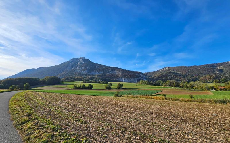 Greenwil Weitsicht über Felder